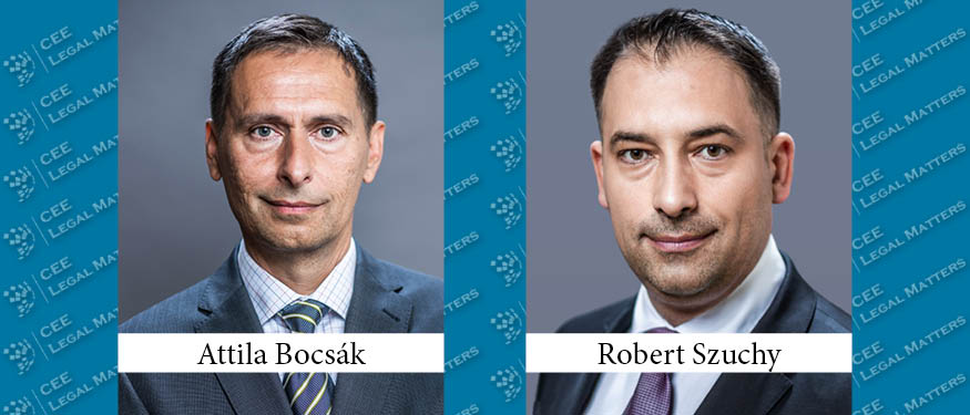 The Houthis and the Internet – Legal Issues with Submarine Cables