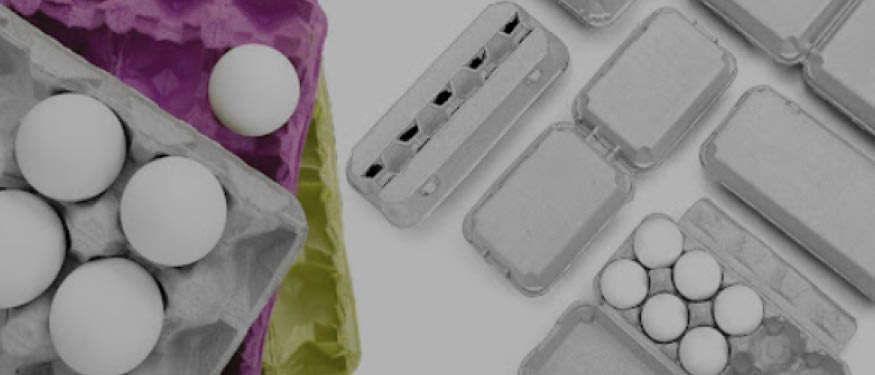 Dentons and Schoenherr Advise on Hartmann Packaging's Acquisition of Dentas Romania