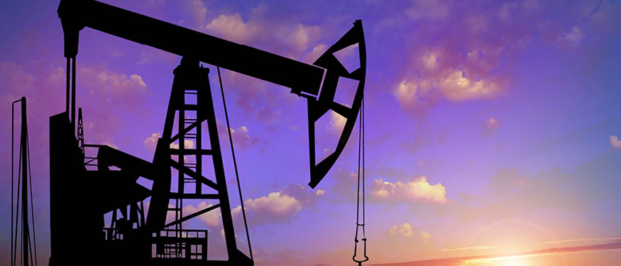 CMS Advises Central European Petroleum on Wolin East Project