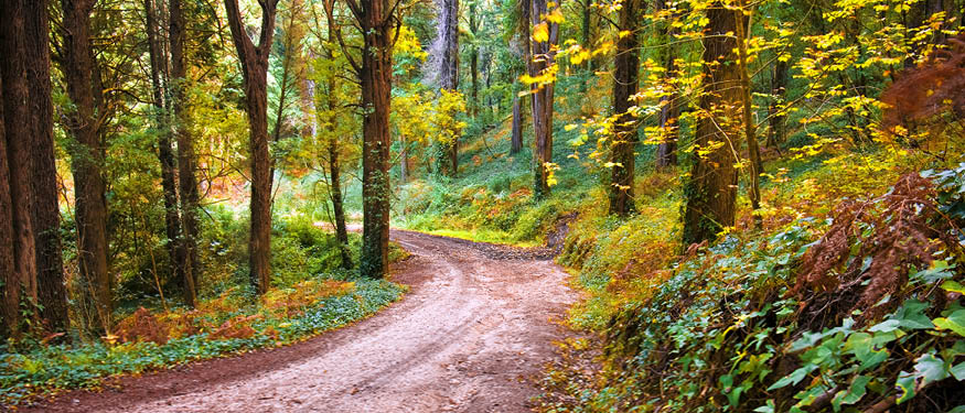 Tuca Zbarcea & Asociatii Advises Tasuleasa Social Association on Long-Distance Hiking Trail Law in Romania