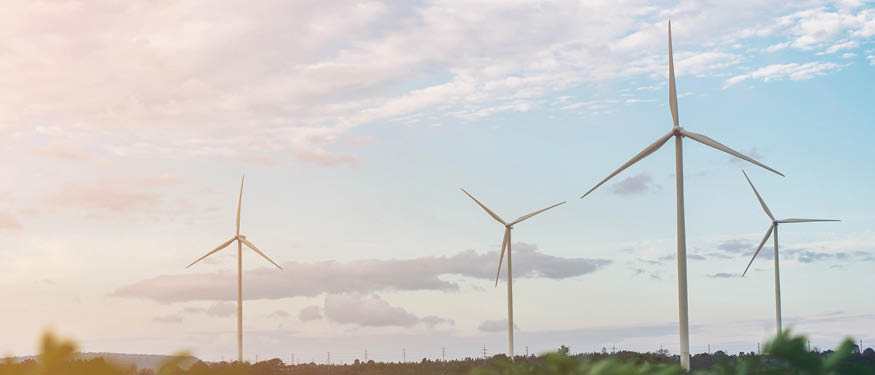 White & Case and Bondoc si Asociatii Advise Lender Syndicate on EUR 331 Million Financing of Second Phase of VIFOR Wind Farm in Romania