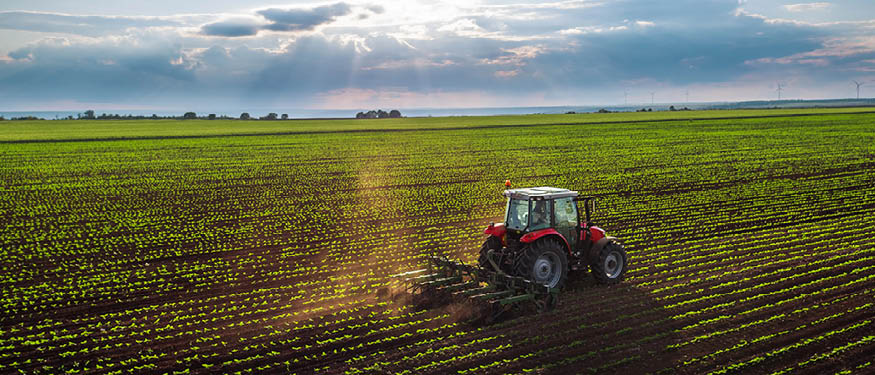 CMS Advises ING Bank on Pre-Export Finance Facility for Ukrainian Agricultural Group