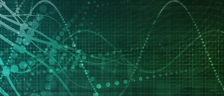 E+H and Schoenherr Advise on Taceo’s USD 5.5 Million Seed Financing Round