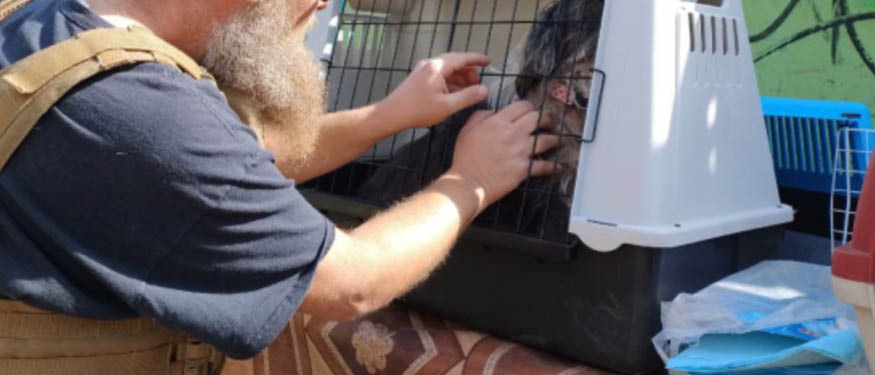 Asters Offers Pro Bono Support to UAnimals