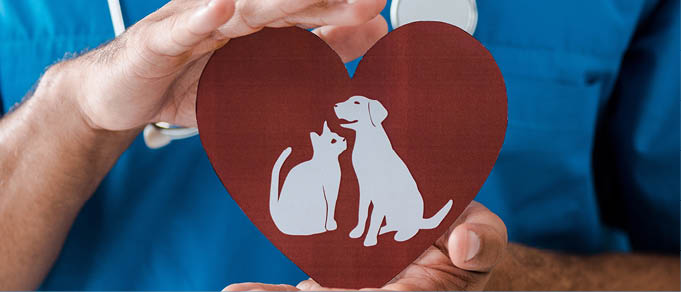 BDK Advokati Advises Vet Planet Clinic on Acquisition of Pet-Vet Care