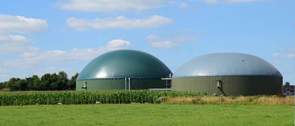 Cobalt Successful for Biogas Power Plants Before Latvia’s Constitutional Court
