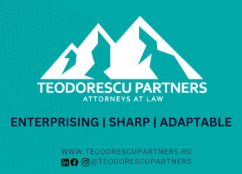 Teodorescu Partners